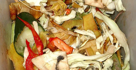 rifiuti cibo organici - spreco alimentare