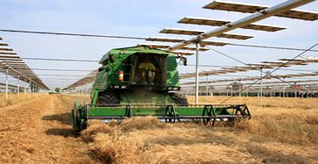 energia - verde- agricoltura