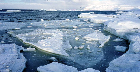ambiente - pianeta - mare - ghiacciai