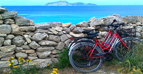 turismo natura vacanza ambiente biciclette