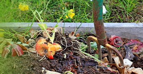 compost - raccolta differenziata umido